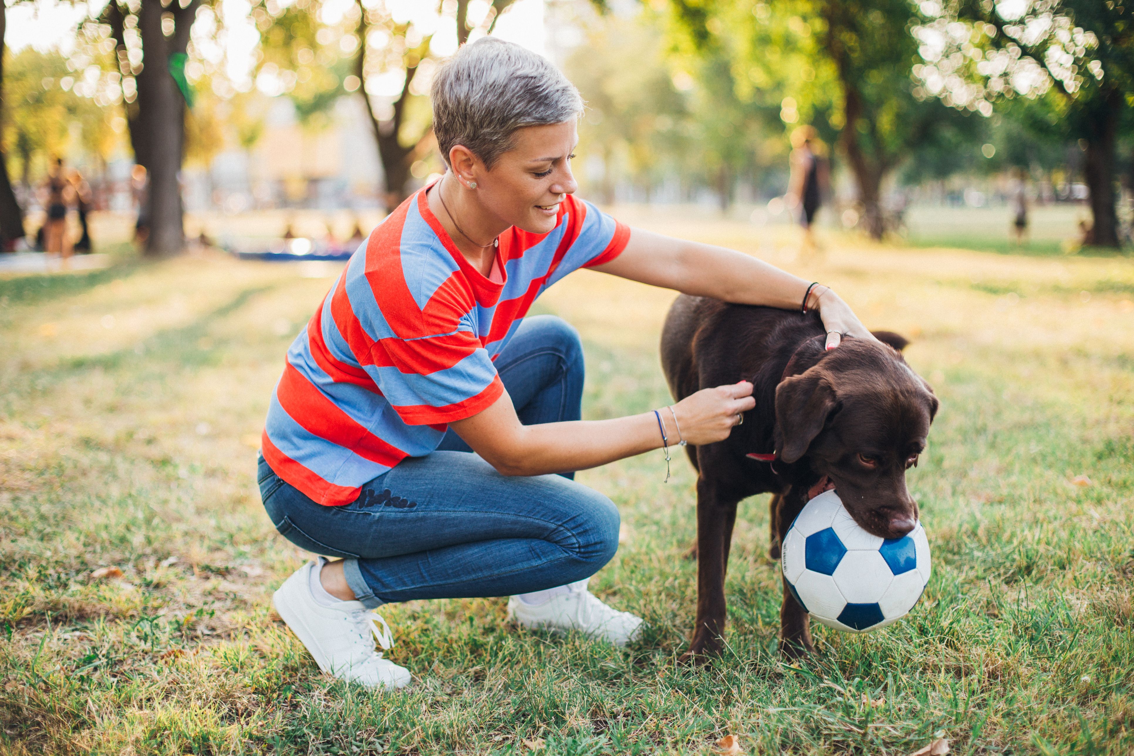 Let pets get their energy out at the community dog park