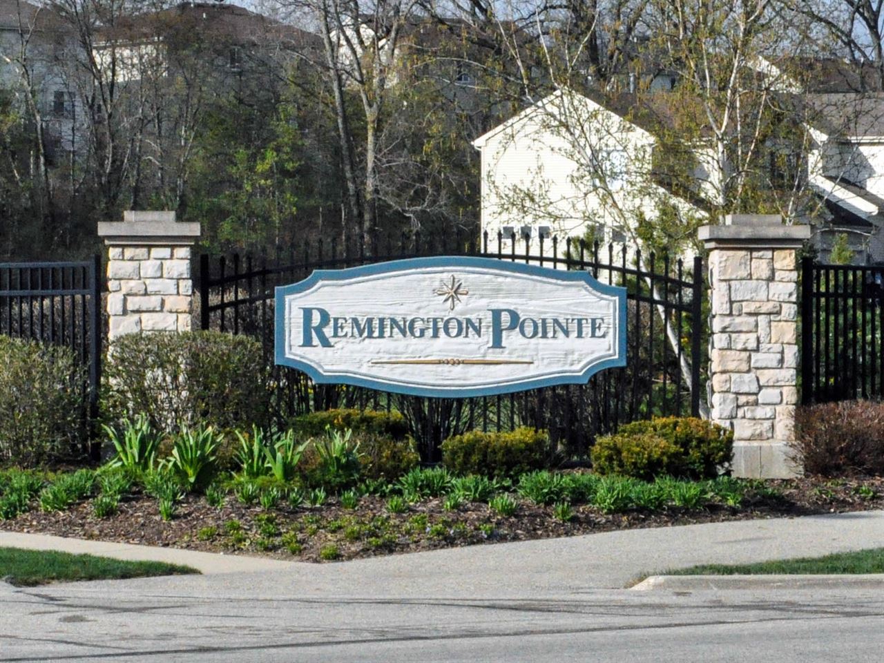 Remington Pointe South