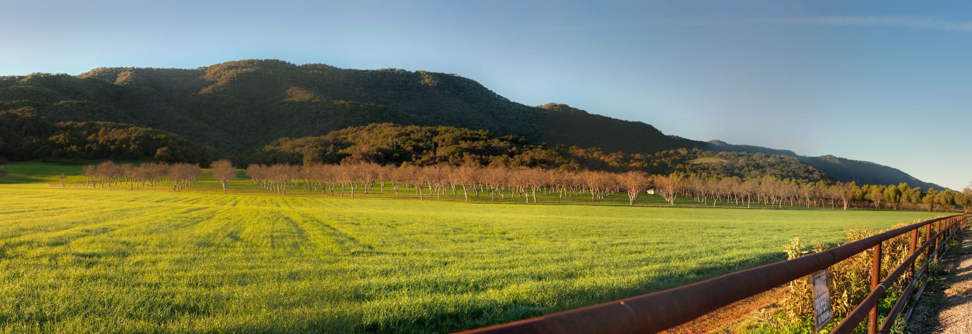 green grass field with hills and trees in backgrou