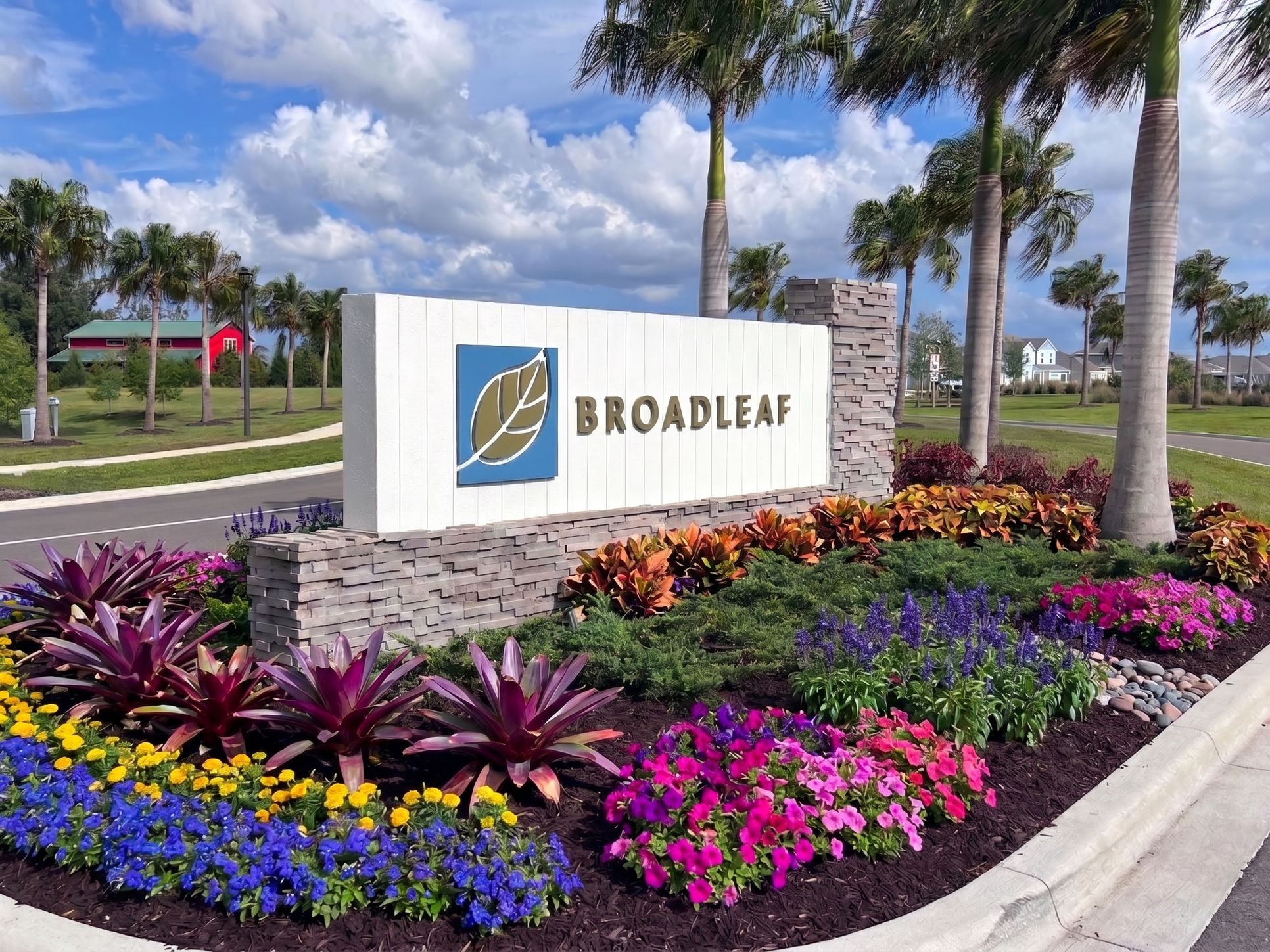 Broadleaf,34219