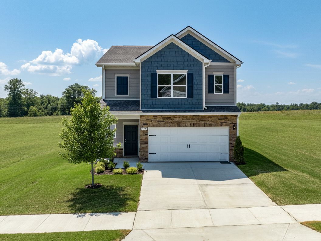 The Andros:The Braselton II