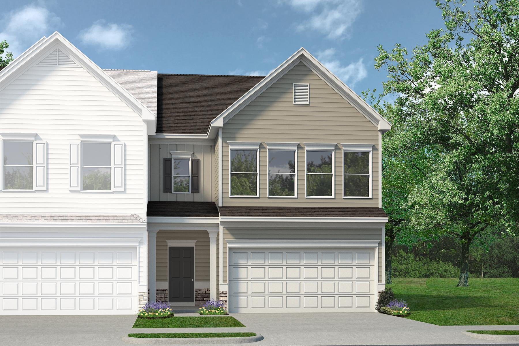 Exterior:dog 6