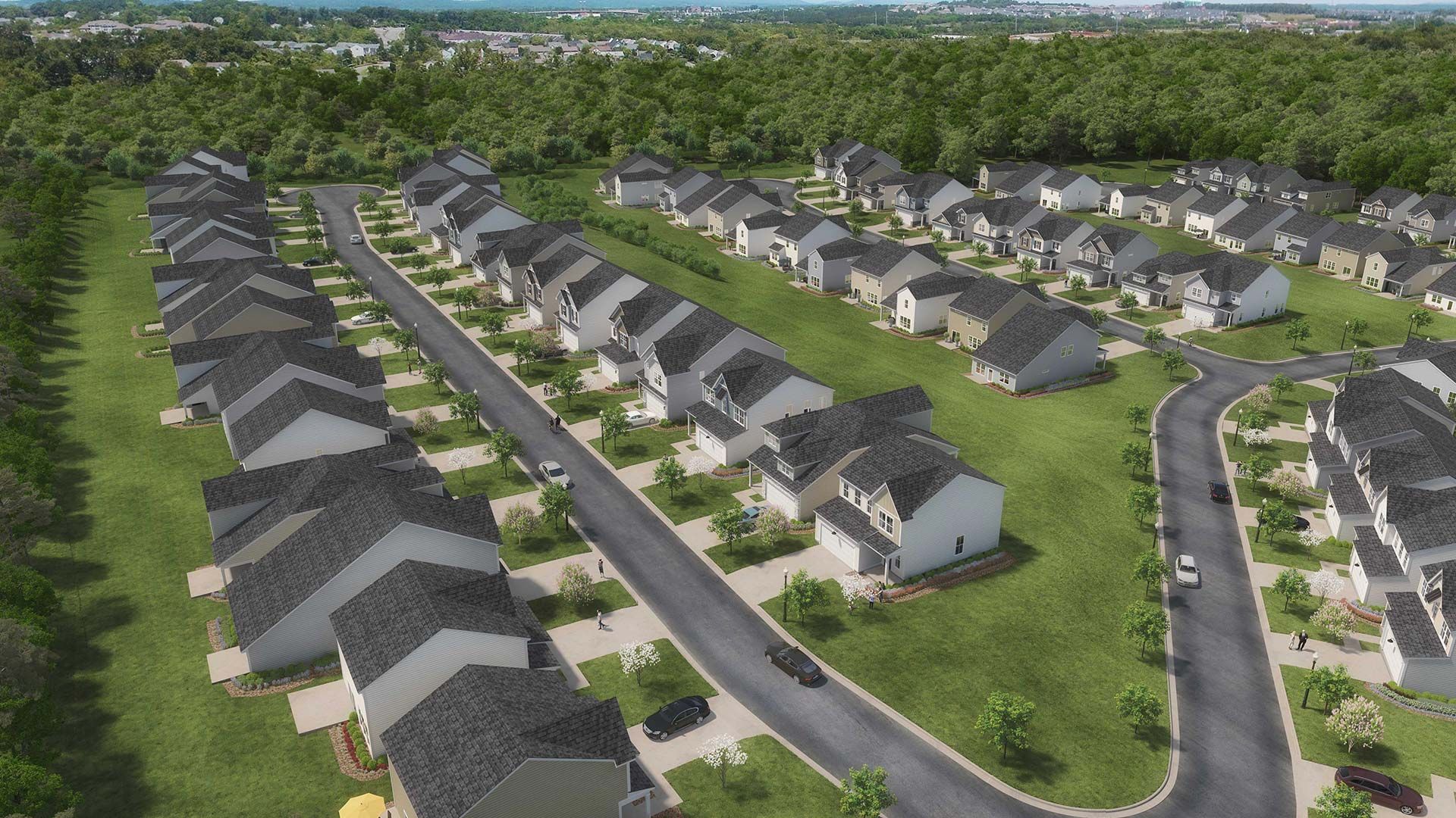 Ashwood Meadows,29316