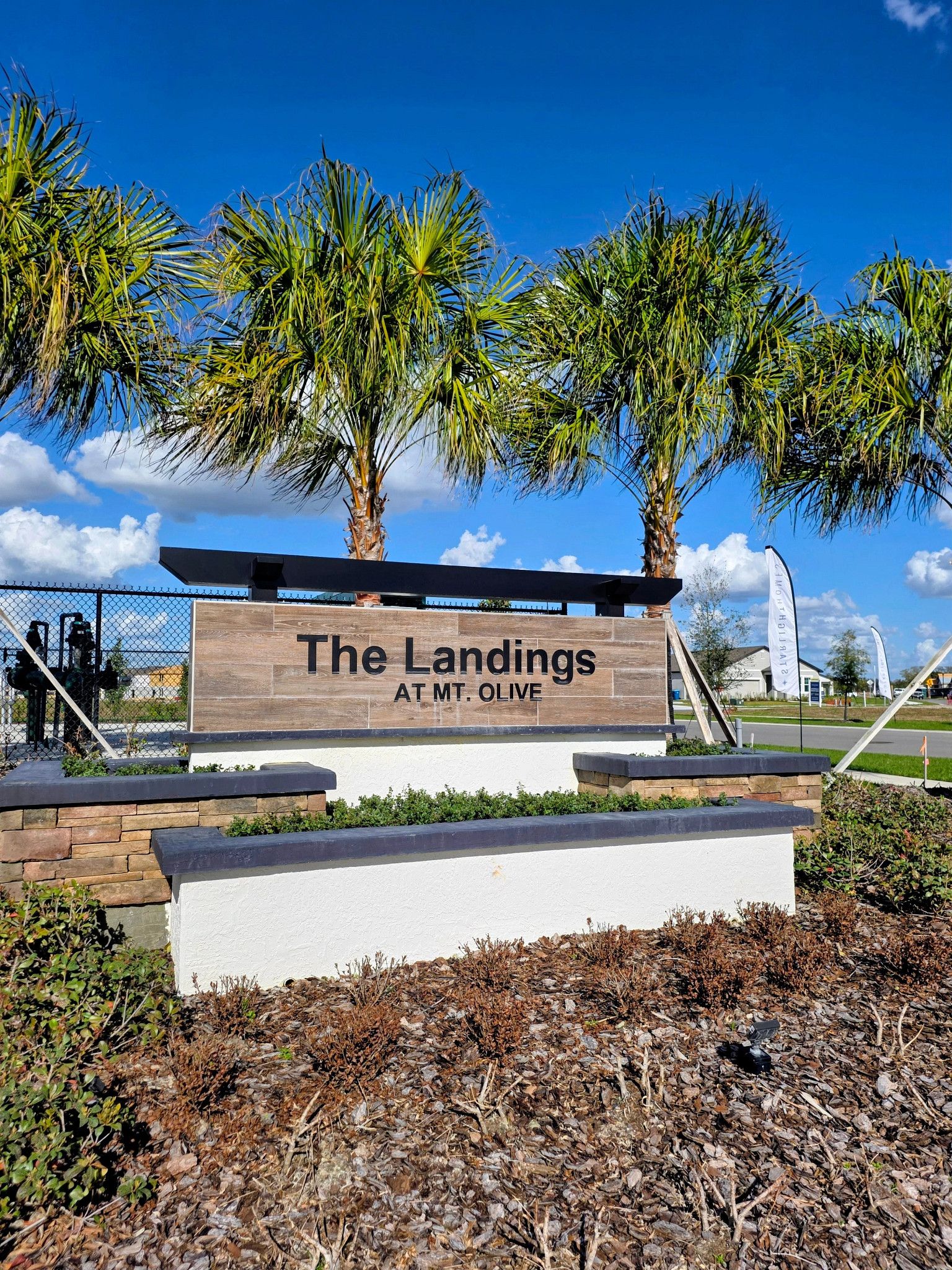 Landings at Mount Olive,33868