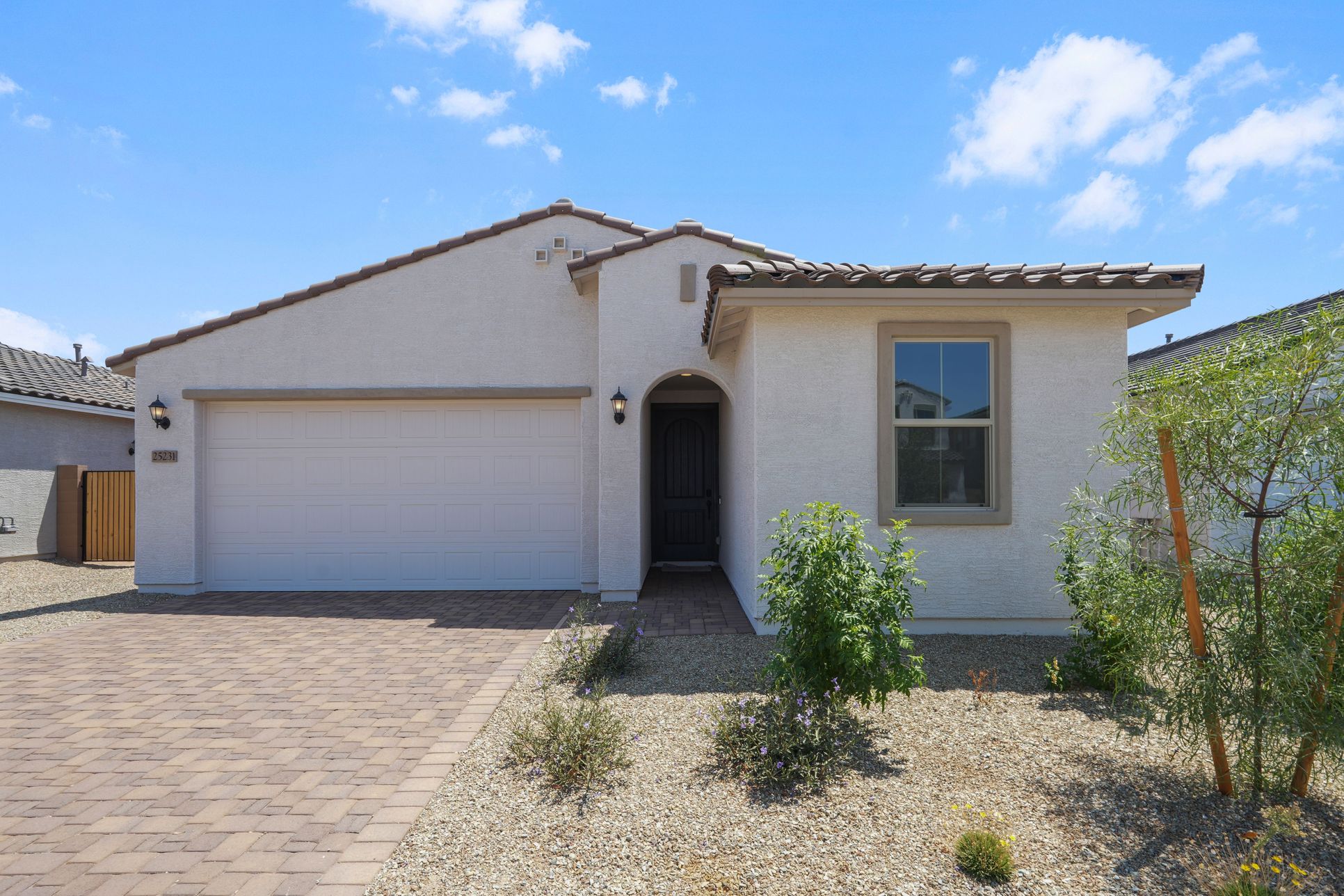 hj-az-phoenix-asante-discovery-hazel-lot-1036-front-01
