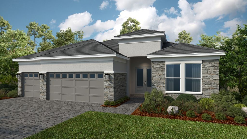 Modern Elevation
