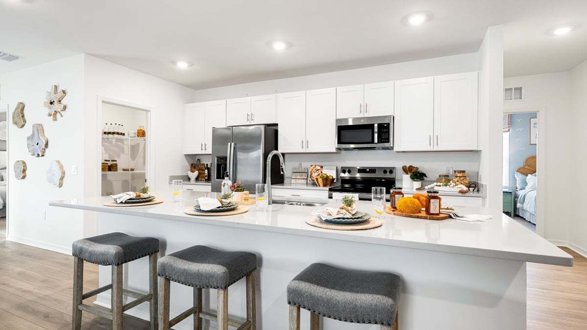 Taylor Morrison - Solena - Hummingbird Model-11-kitchen