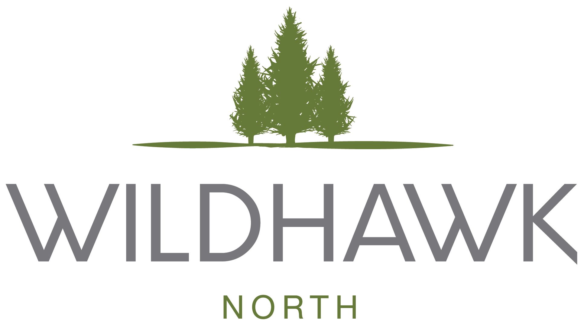 Wildhawk North Logo