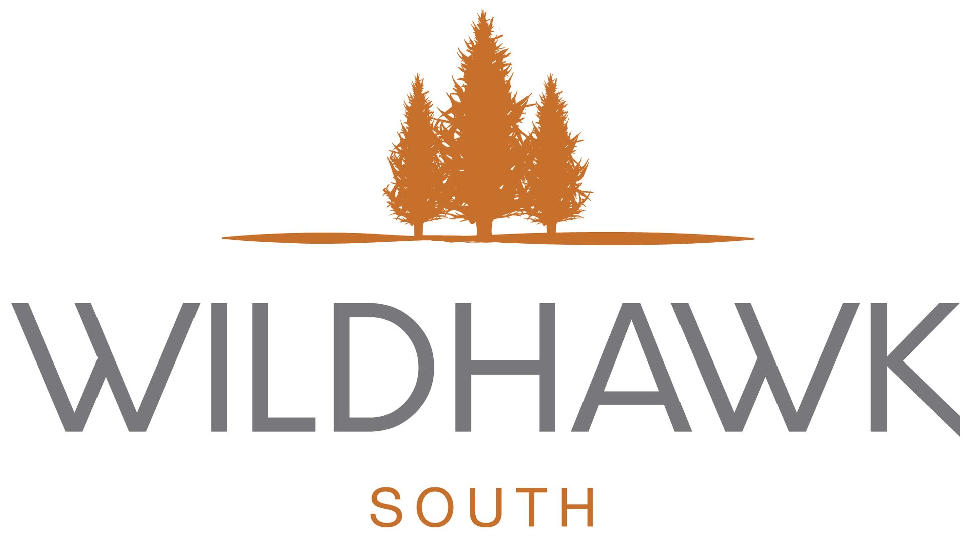 4886-SAC- Wildhawk-South-CMYK-02