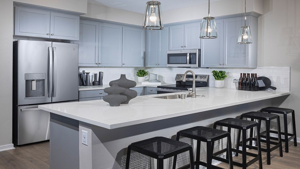 ResizedTMOlivaPlan2Shot1