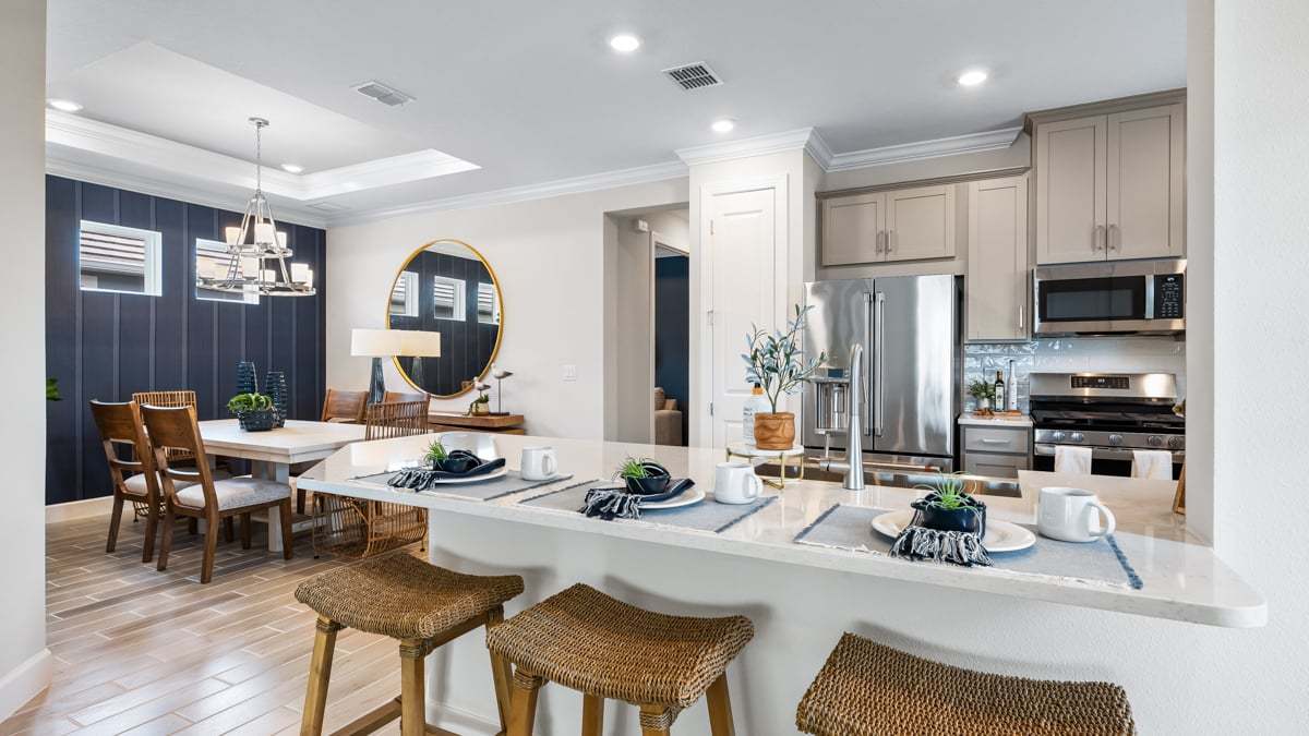 Esplanade at Wiregrass Ranch - Arezzo Model-18-kitchen and dining