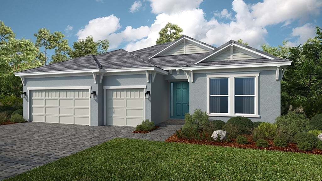Coastal Elevation