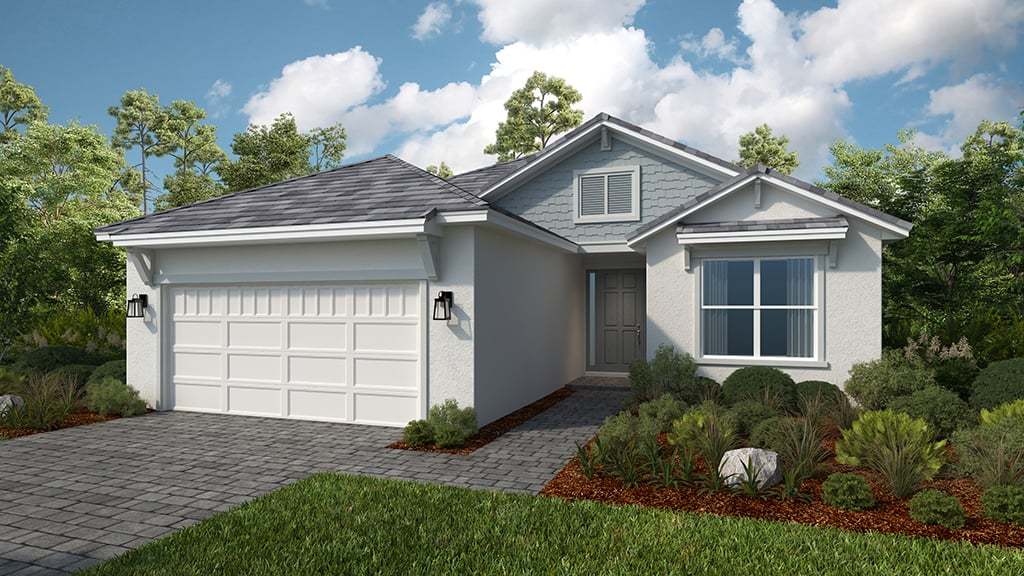 Coastal Elevation