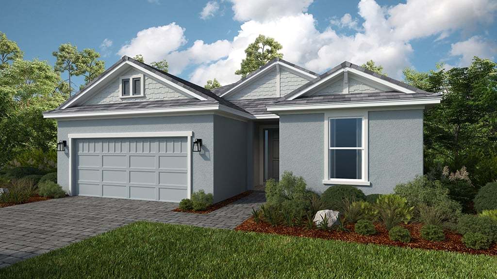 Coastal Elevation