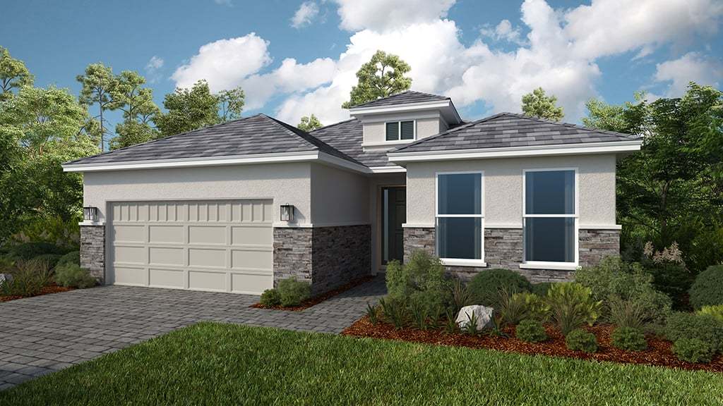 Modern Elevation