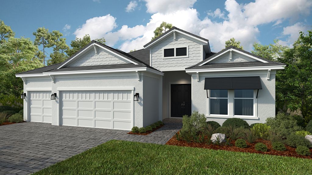 Coastal Elevation