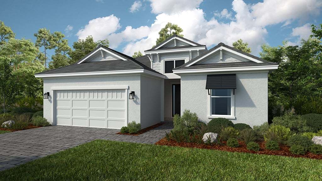Coastal Elevation