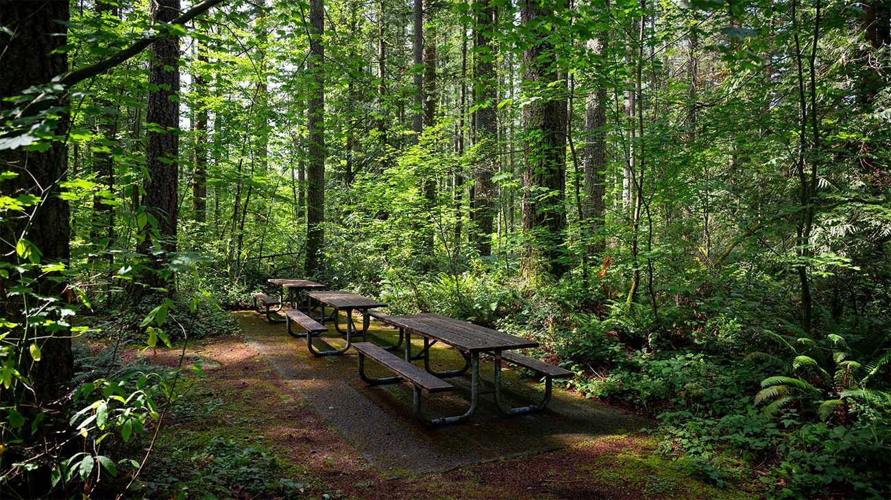 Nolte State Park
