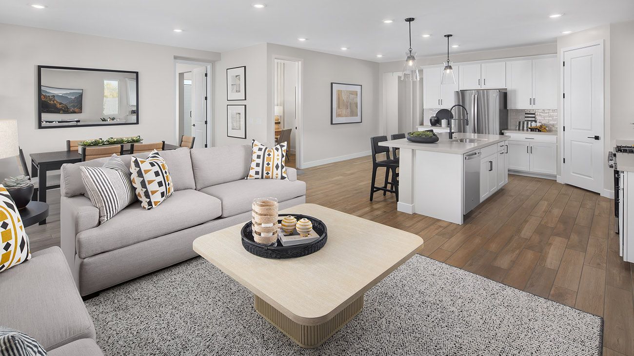 Teravalis - Windstone Reuse -Plan 4002 Kitchen and Living Room - Model Photography