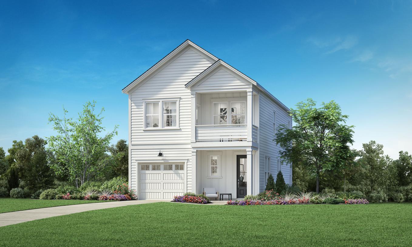 Elevation Image:Transitional