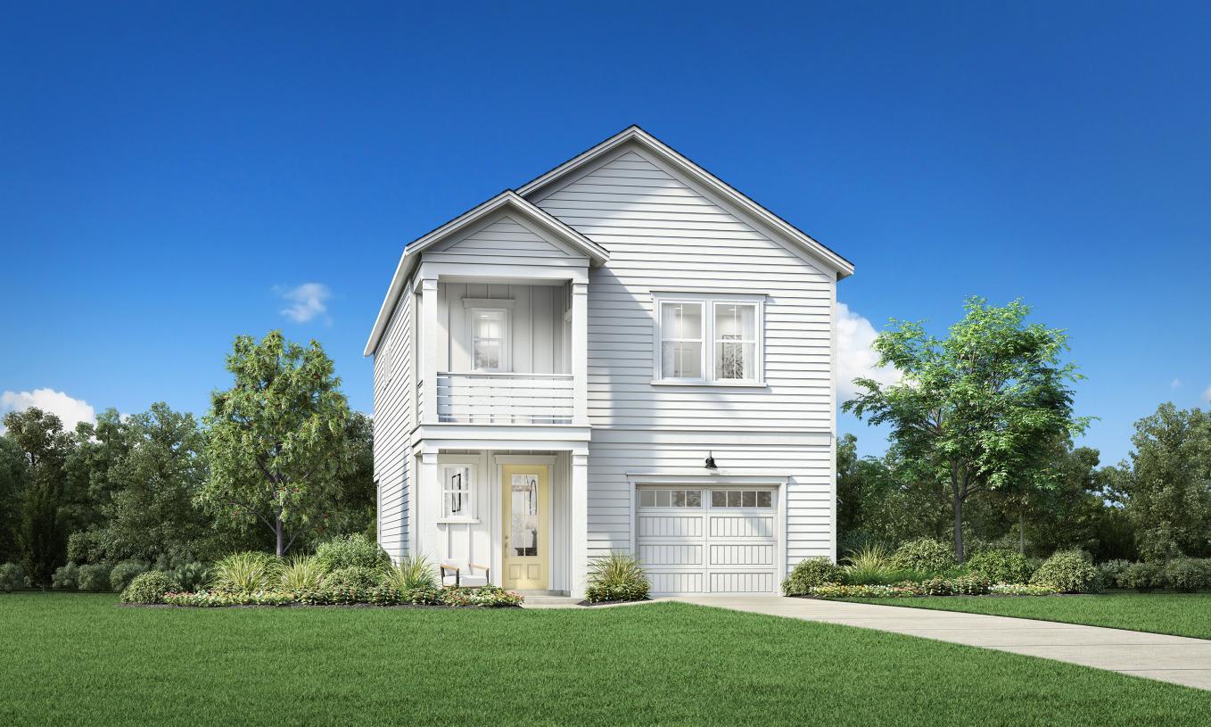 Elevation Image:Transitional