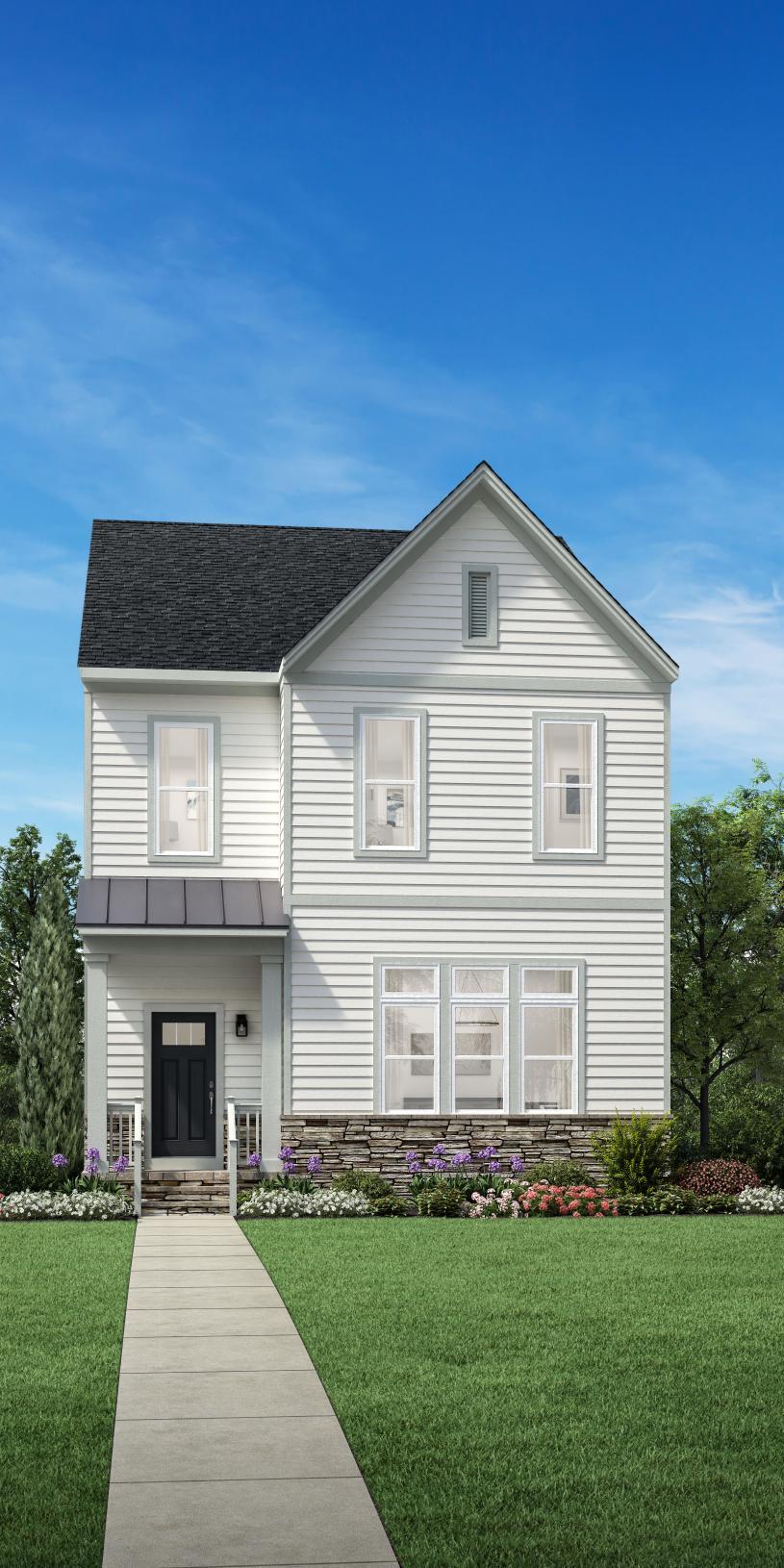 Elevation Image:Transitional