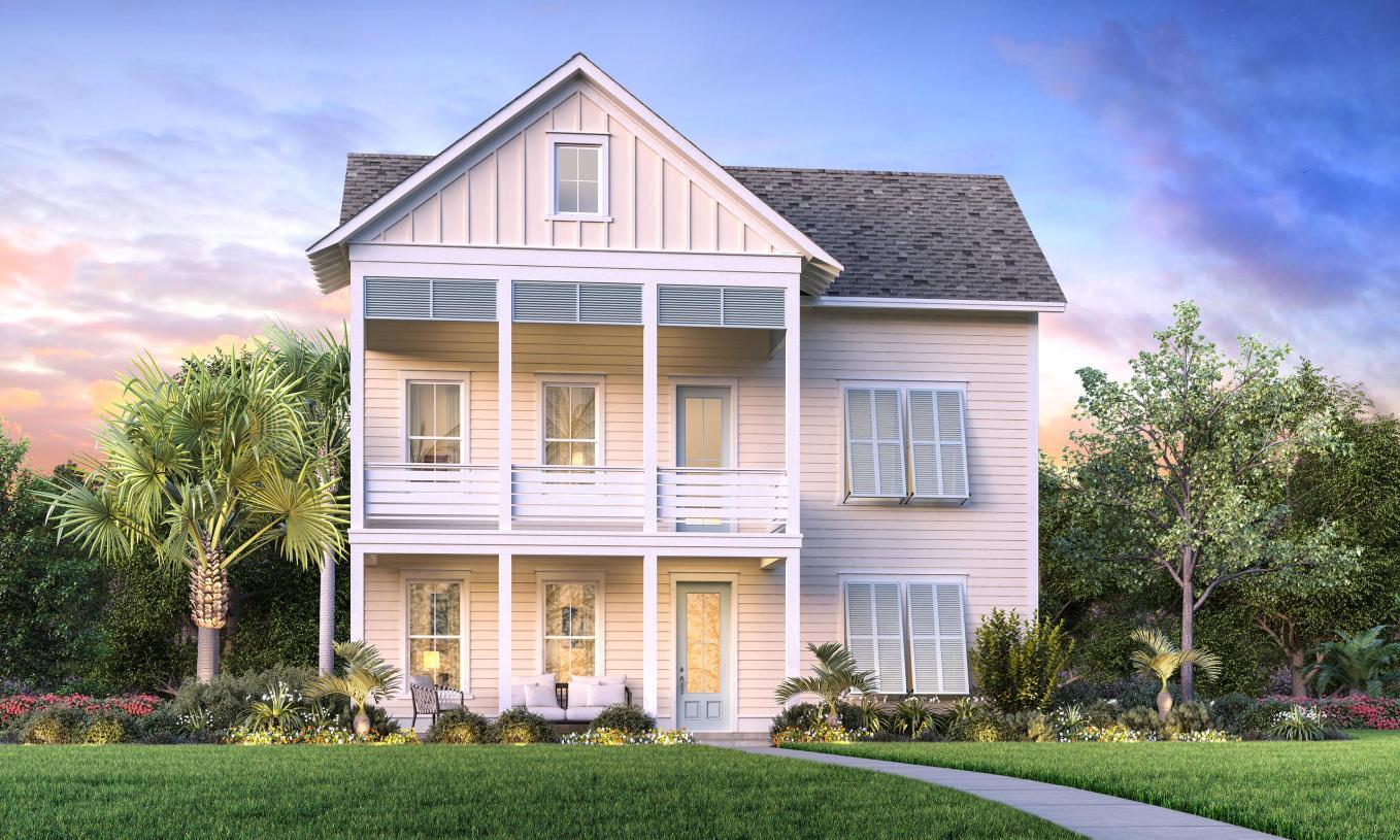 Elevation Image:Transitional