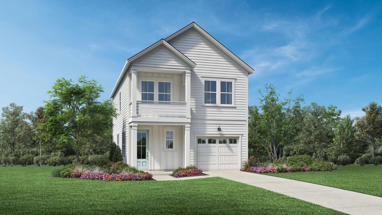 Elevation Image:Transitional