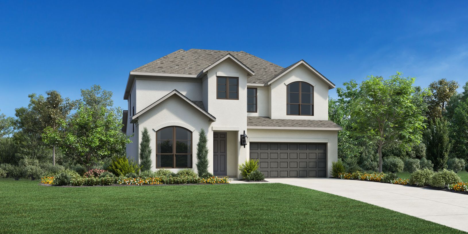 Elevation Image:Transitional