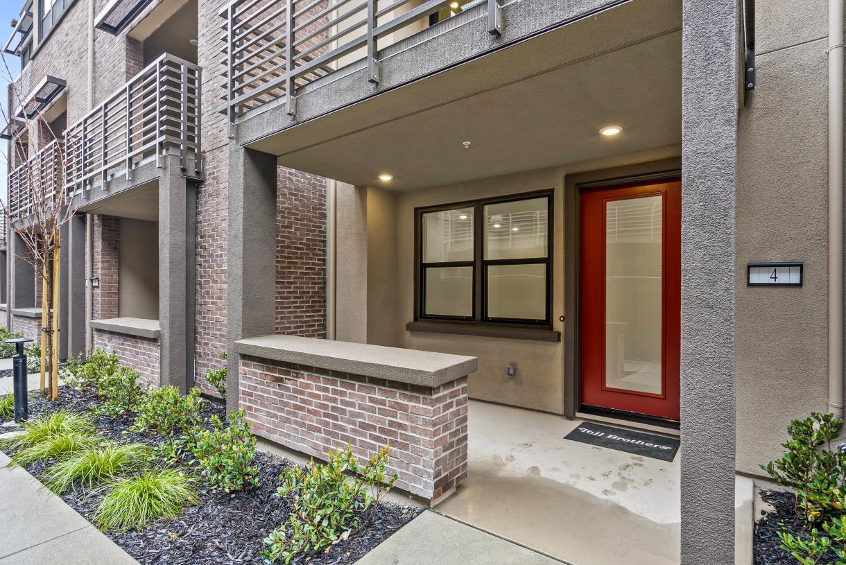 Elevation Image:Transitional