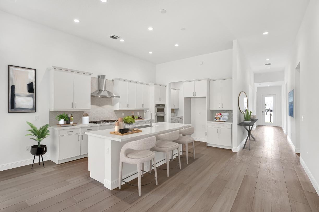 Elevation Image:Elevation