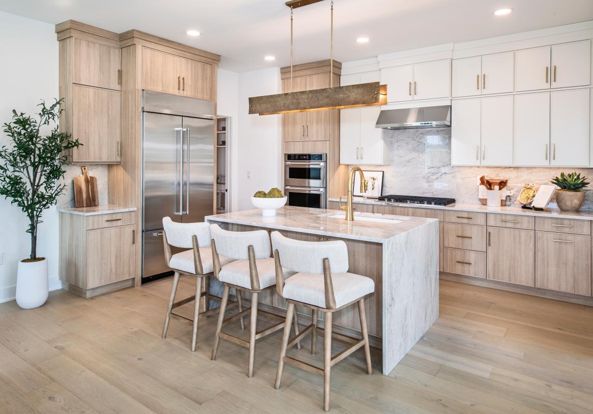 Elevation Image:Elevation