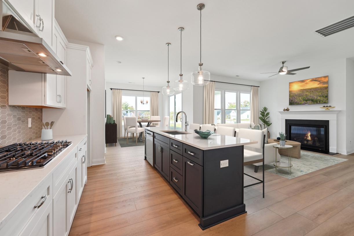 Elevation Image:Regency at Olde Towne Quick Move-in 51