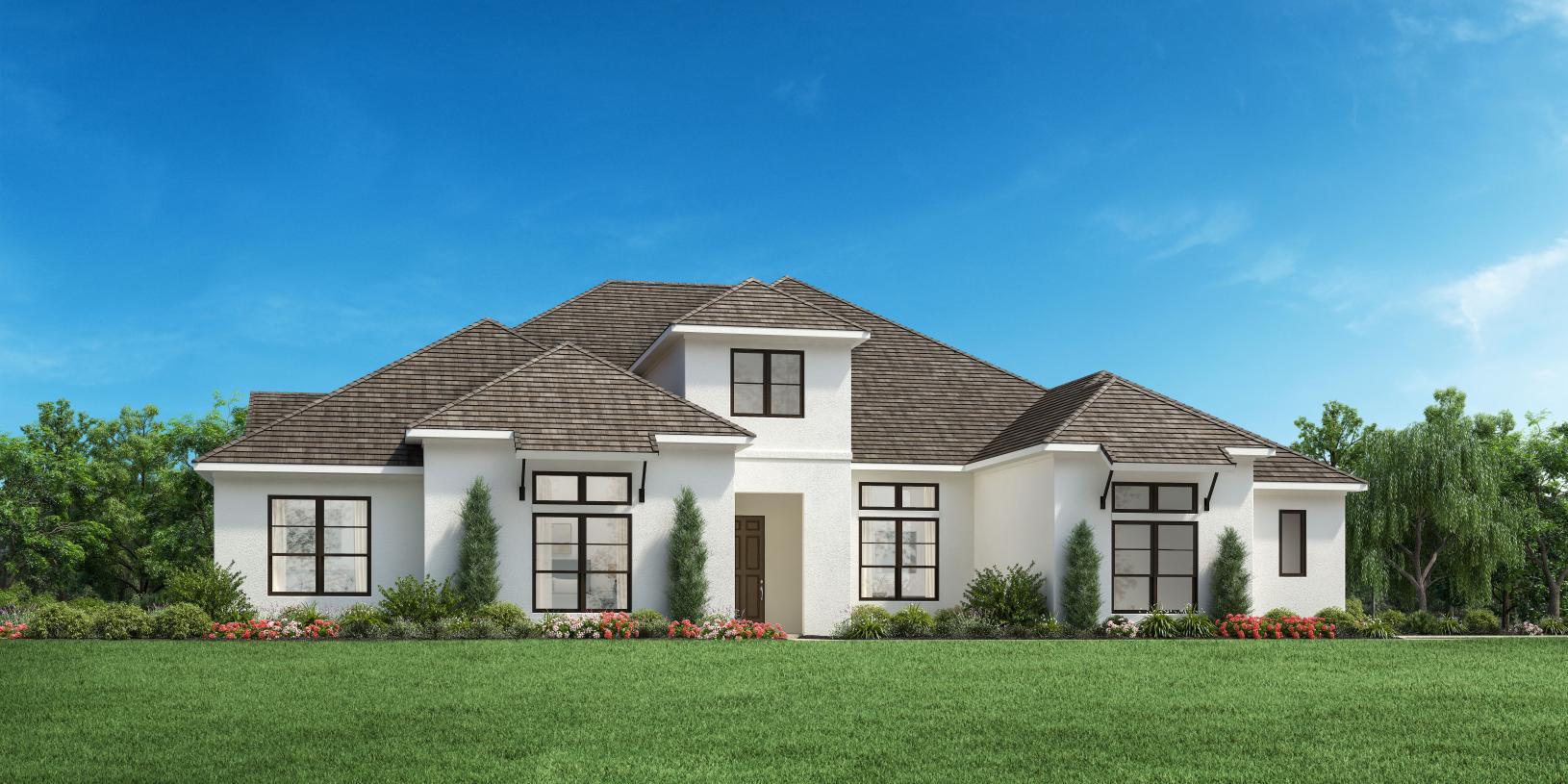 Elevation Image:Transitional