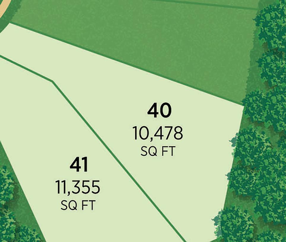 Elevation Image:Elevation