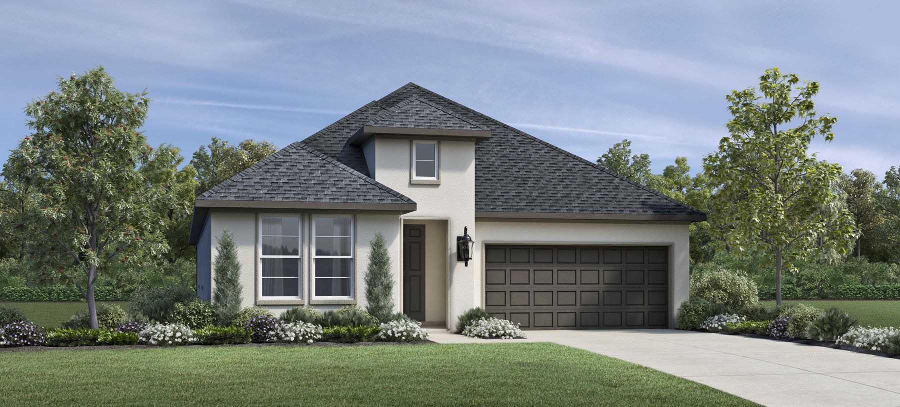 Elevation Image:Transitional