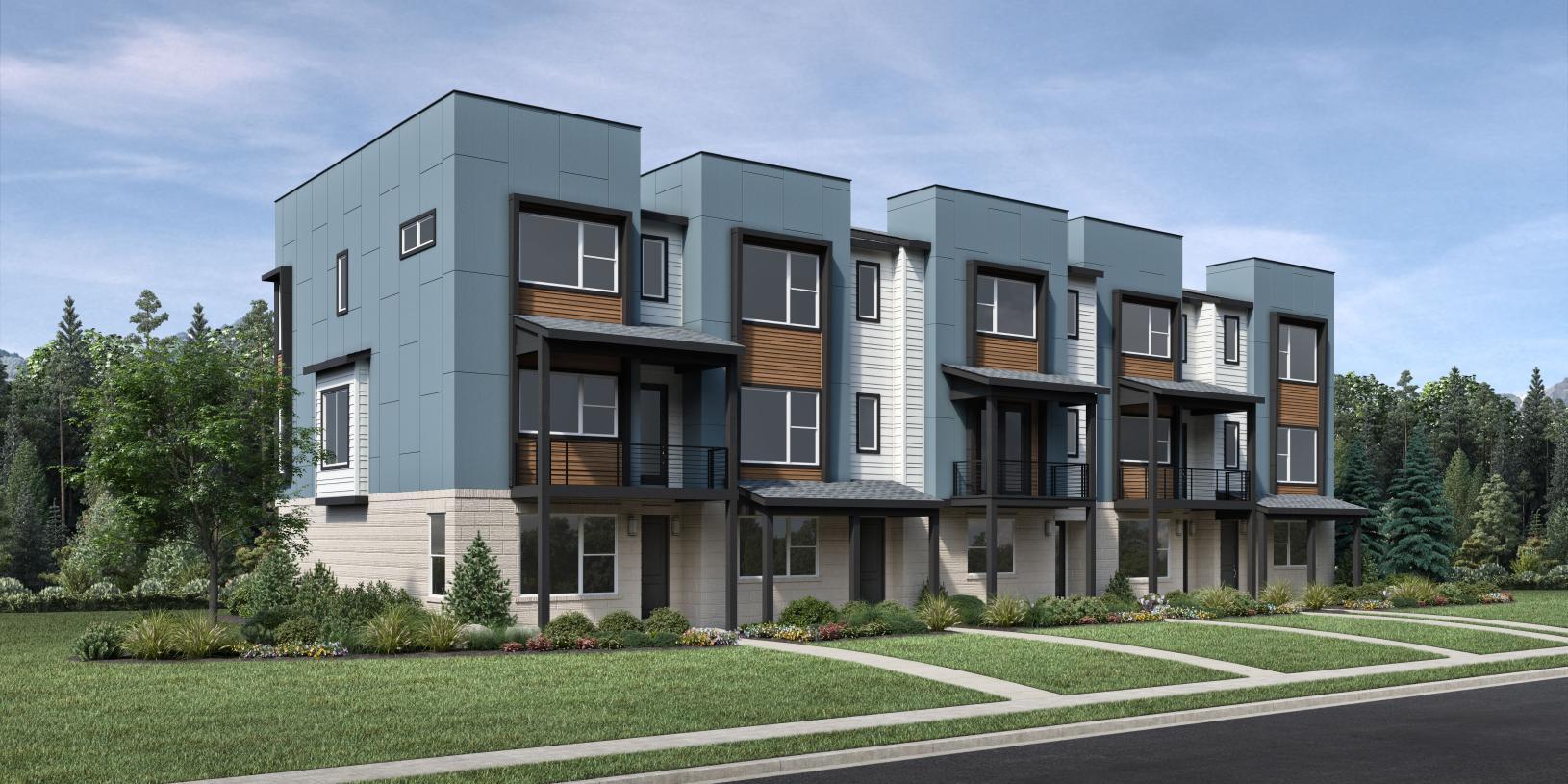 Elevation Image:International