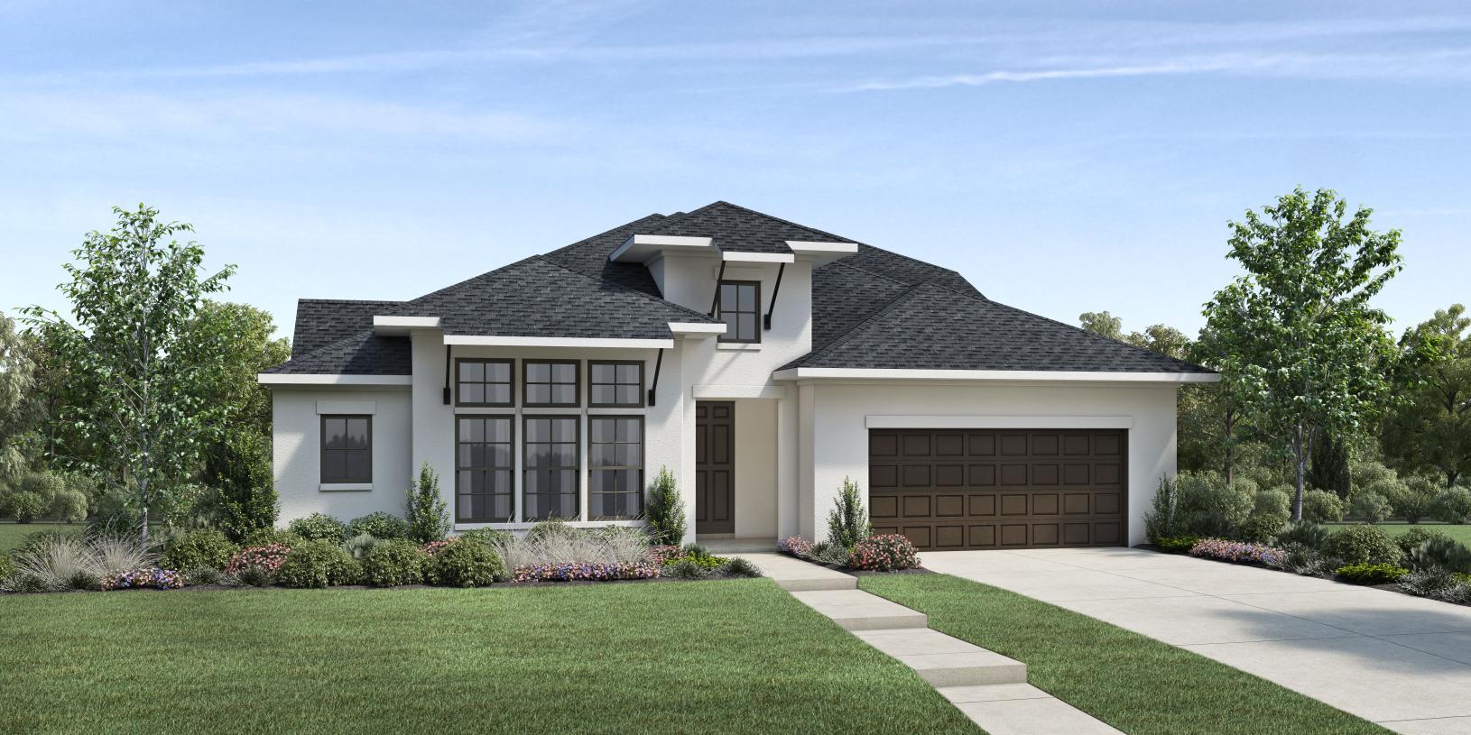 Elevation Image:Transitional