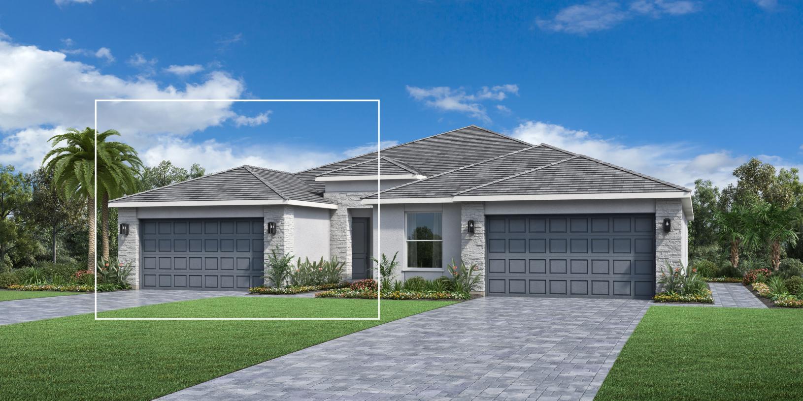 Elevation Image:Transitional