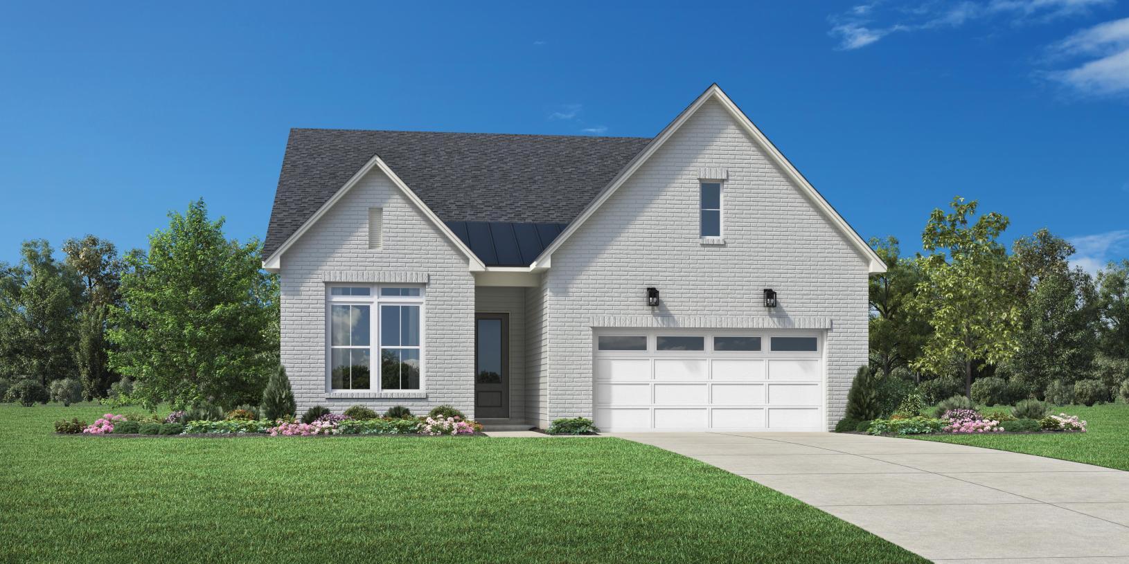 Elevation Image:Transitional