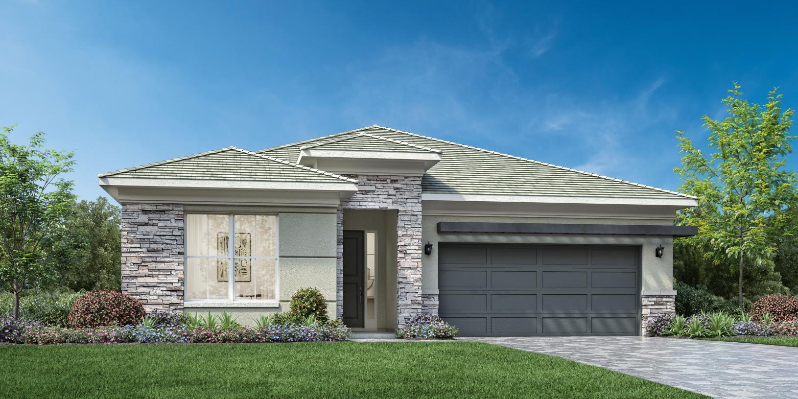 Elevation Image:Transitional