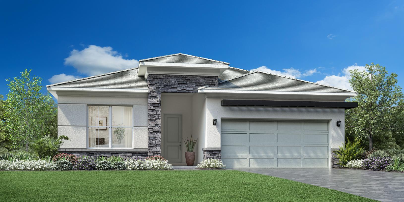 Elevation Image:Transitional