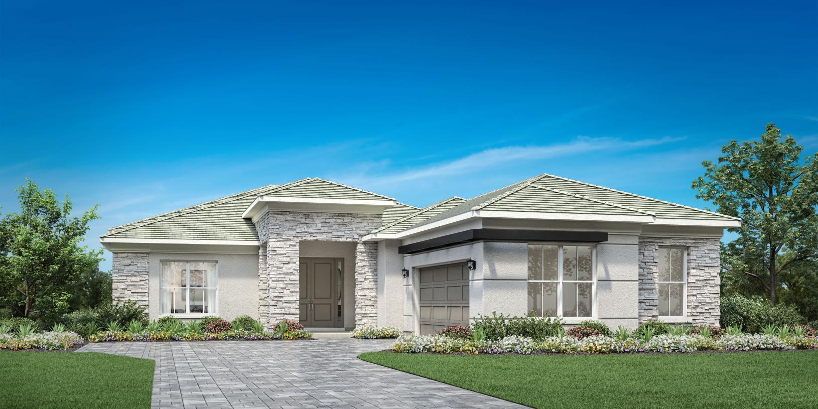 Elevation Image:Transitional