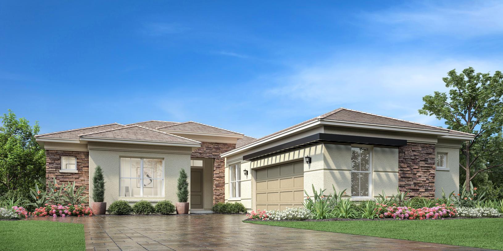 Elevation Image:Transitional