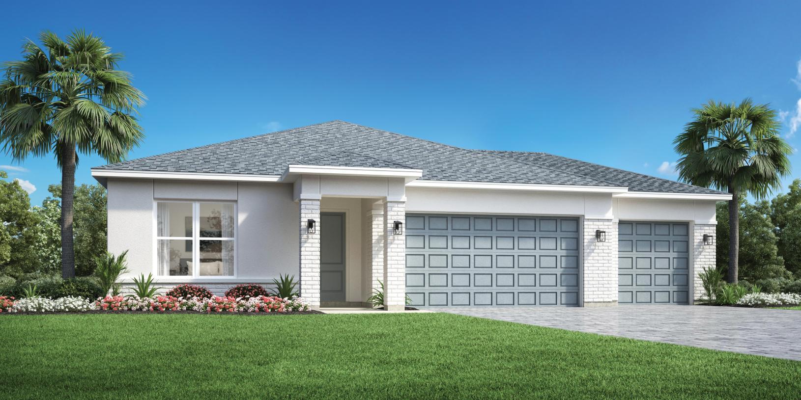 Elevation Image:Transitional