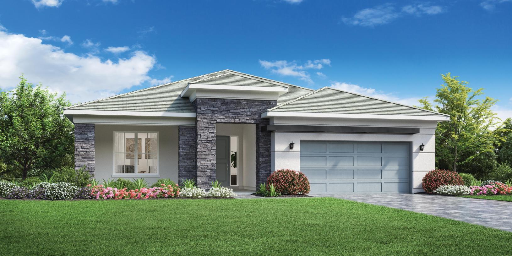 Elevation Image:Transitional