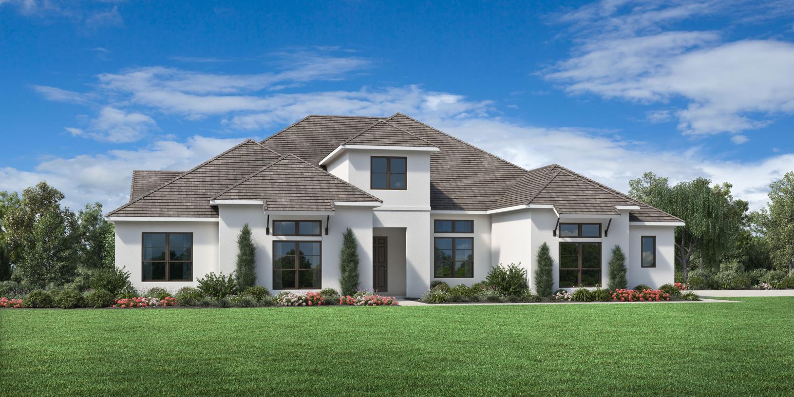 Elevation Image:Transitional