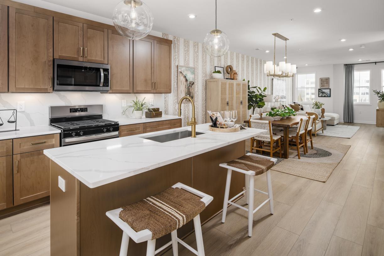 Elevation Image:Image