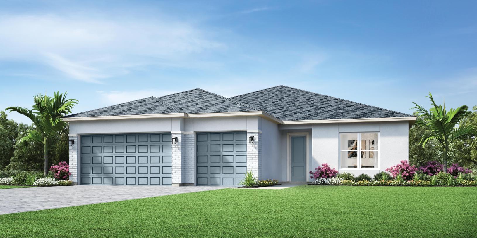 Elevation Image:Transitional