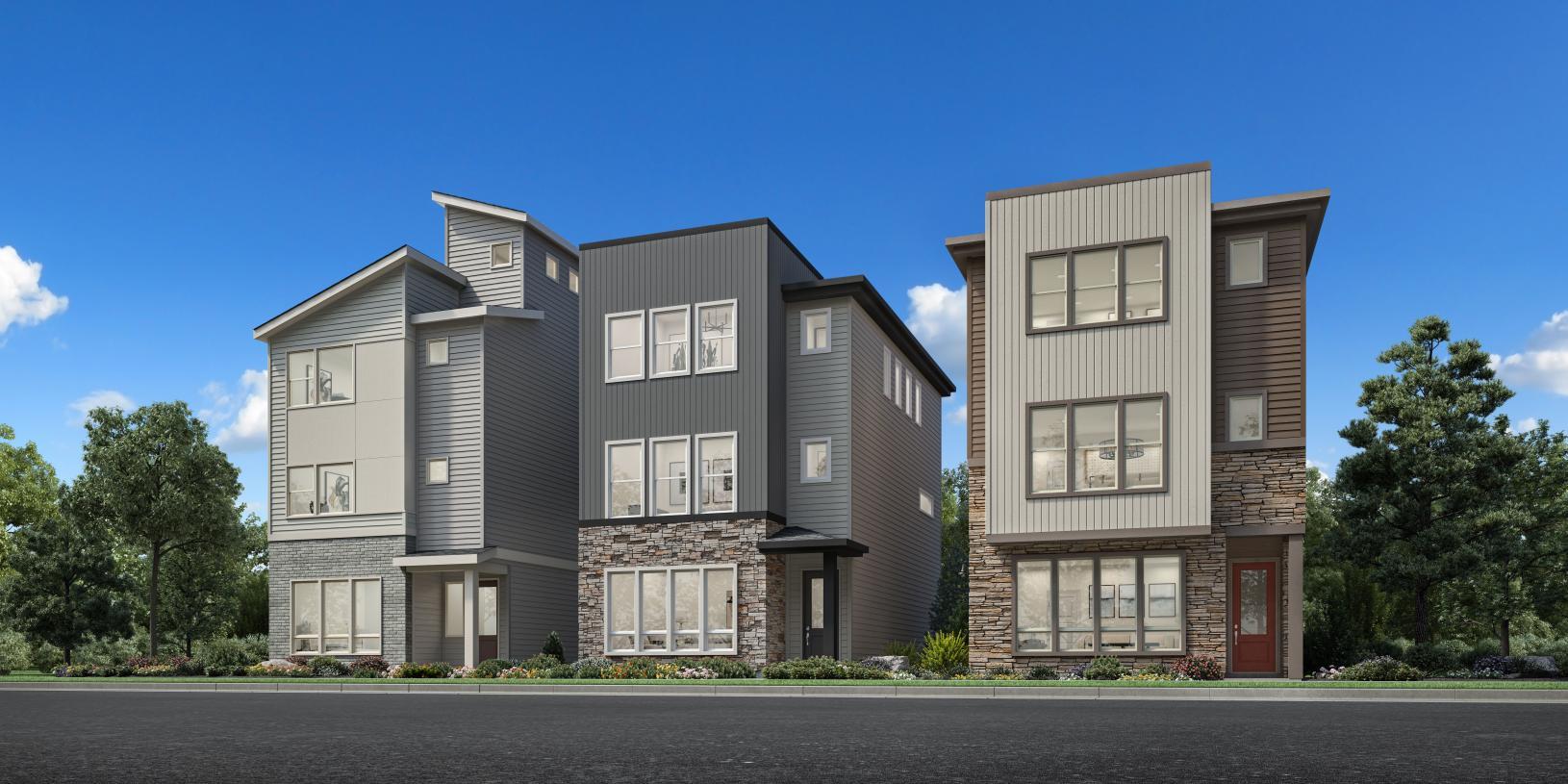 Elevation Image:Transitional